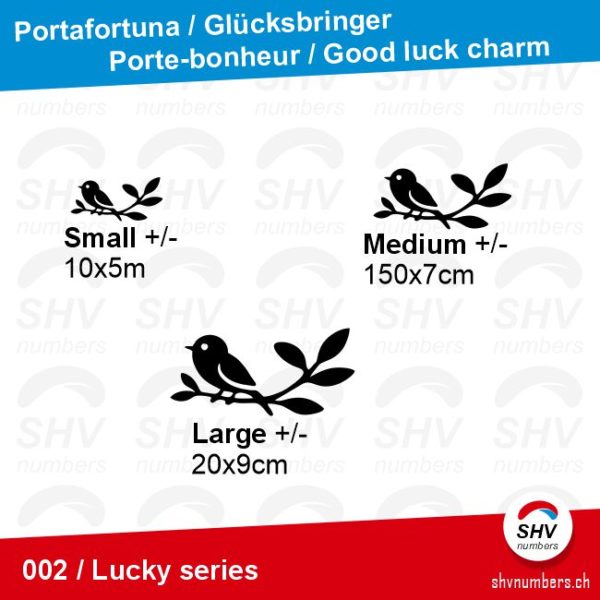 Lucky Series 002