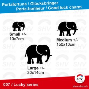 Lucky Series 007