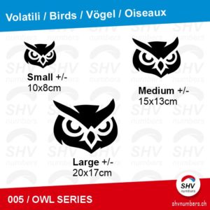Owl Series 005